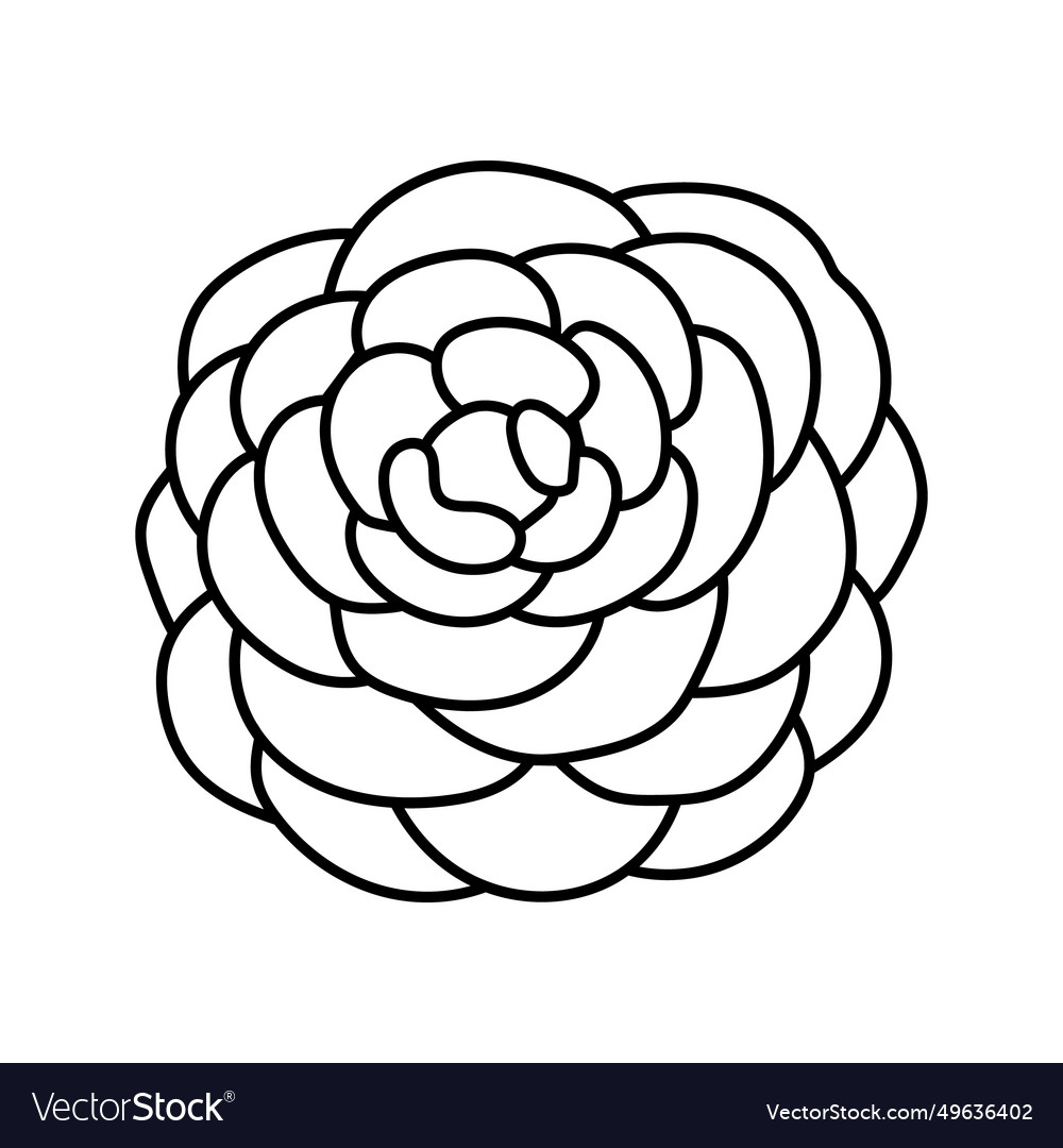 Camellia Flower Spring Line Icon Royalty Free Vector Image