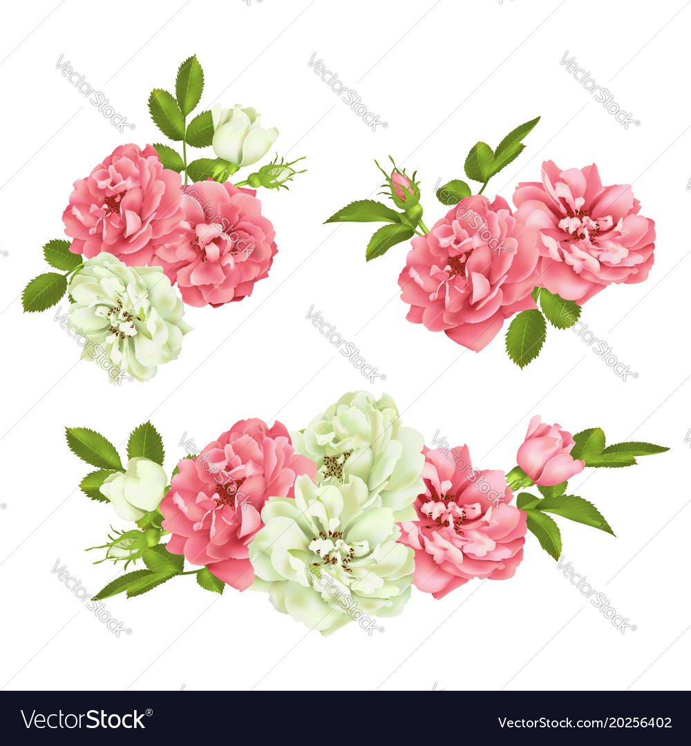 Pink Rose Set - Floral Collection