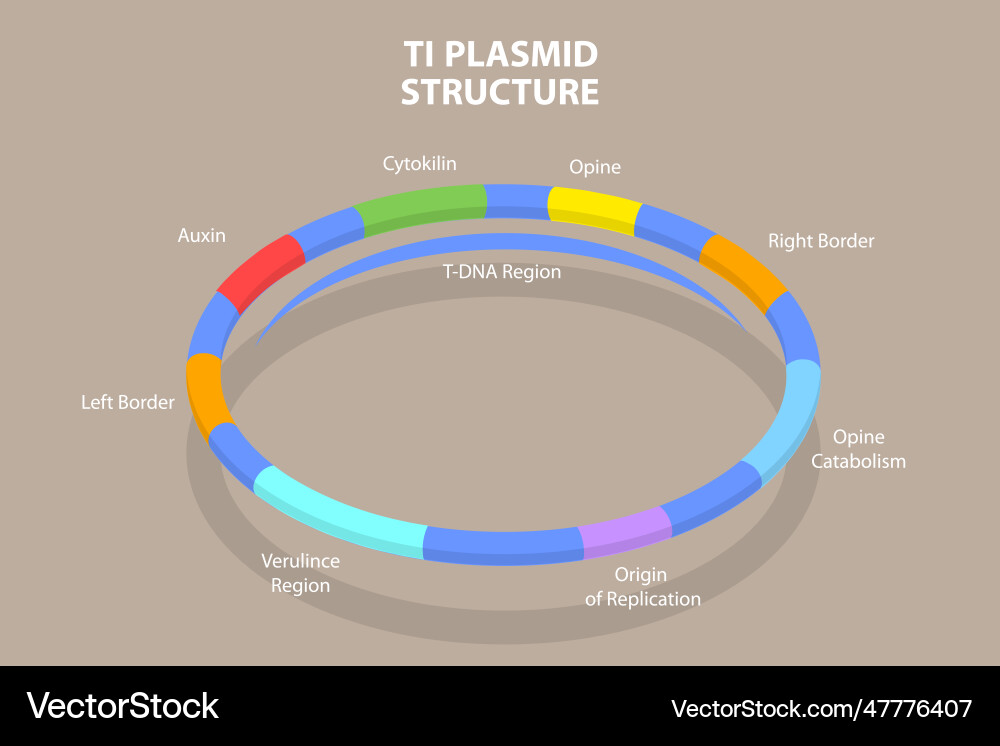 3d isometric flat conceptual Royalty Free Vector Image
