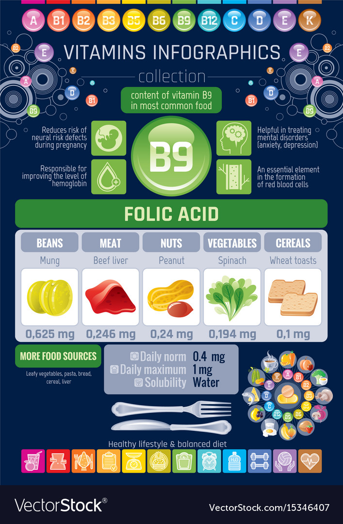 Folic acid vitamin b9 rich food icons healthy Vector Image