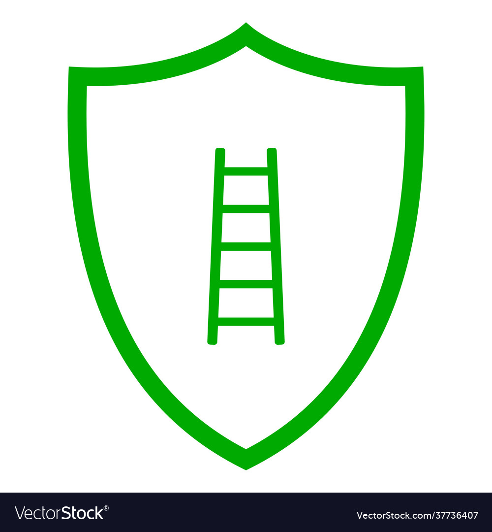 Ladder and shield