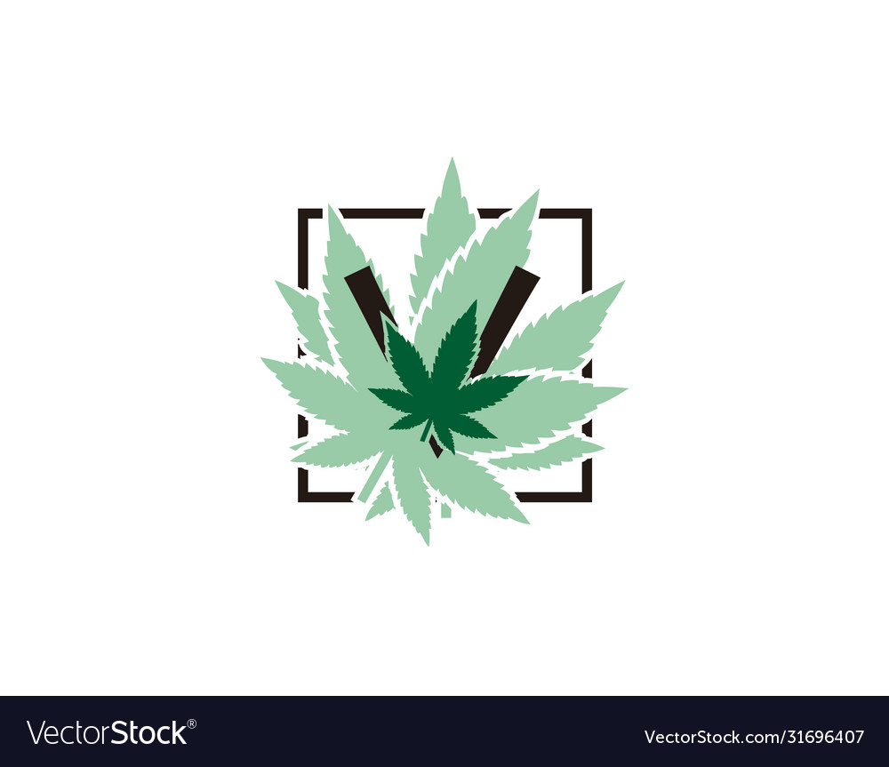 V letter logo medical cannabis leaf marijuana vector image V letter logo medical cannabis leaf marijuana