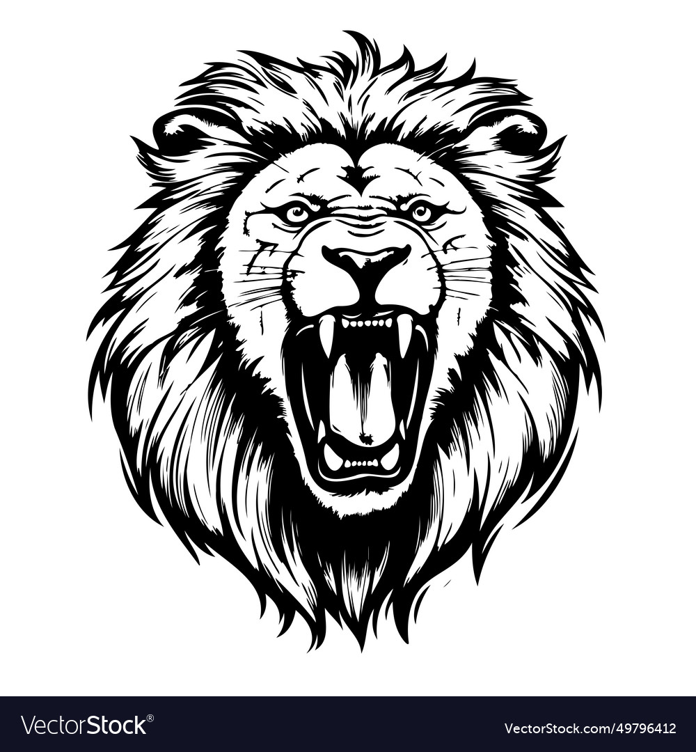 Face of roaring lion hand drawn Royalty Free Vector Image