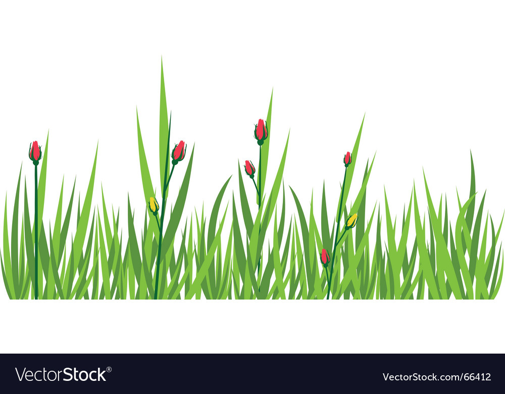 Grass background