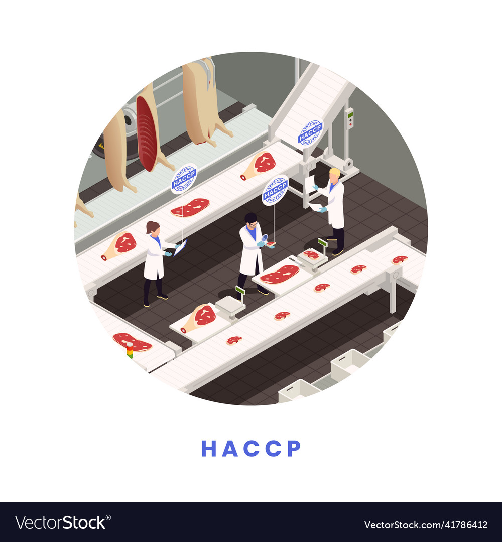 Haccp Food Safety Concept Royalty Free Vector Image