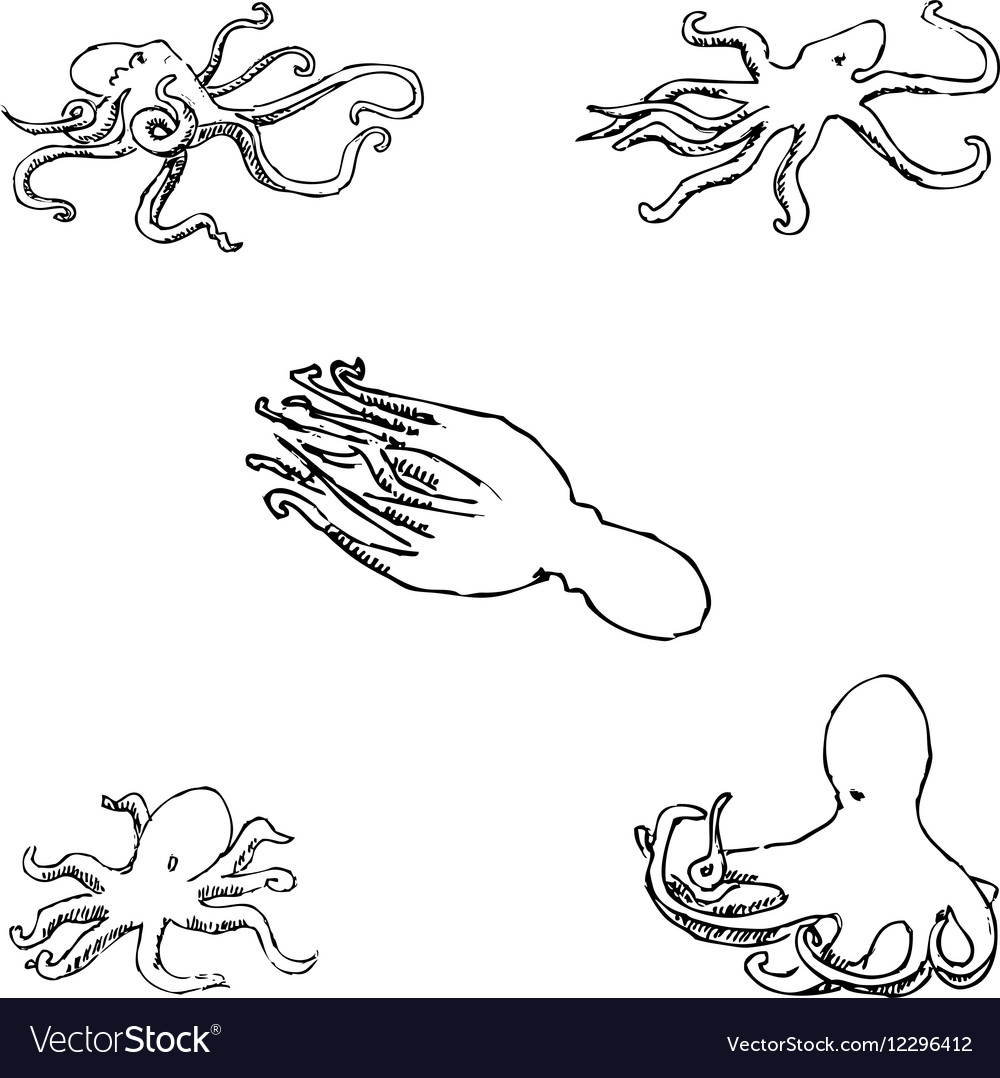 Octopus eine Skizze von Handstiftzeichnung