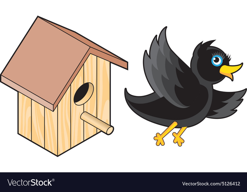 Starling and nesting box