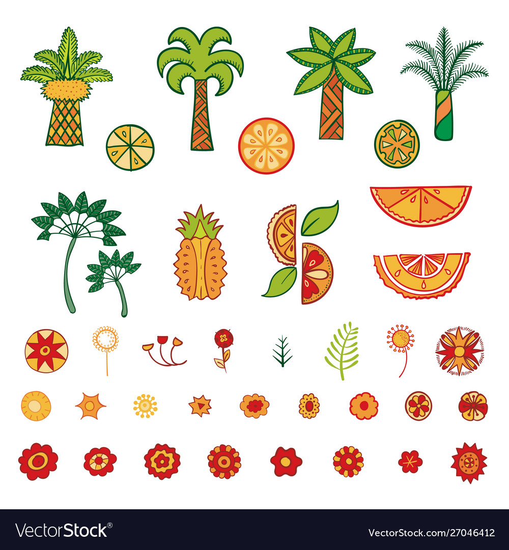 Tropical Flat Decorative Elements