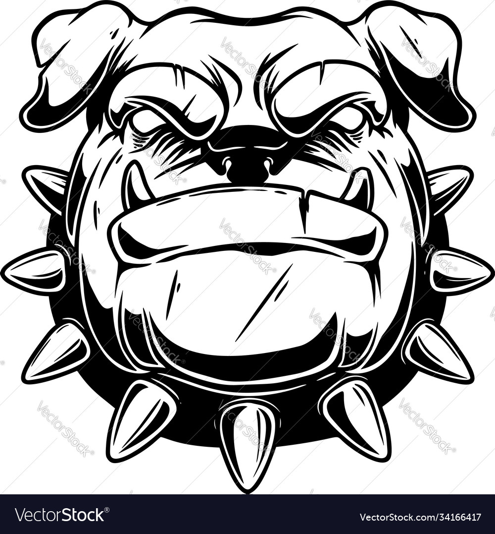 Boxer dog head in vintage monochrome style design vector image Boxer dog head in vintage monochrome style design