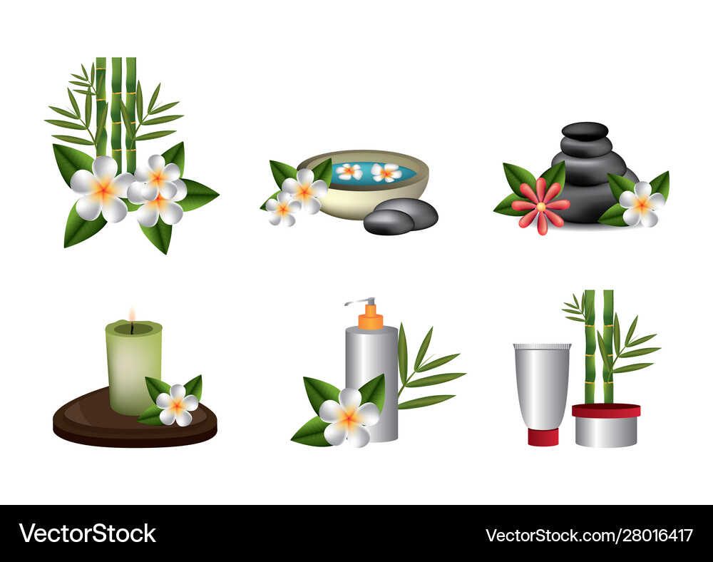 Bundle spa therapy set icons Royalty Free Vector Image