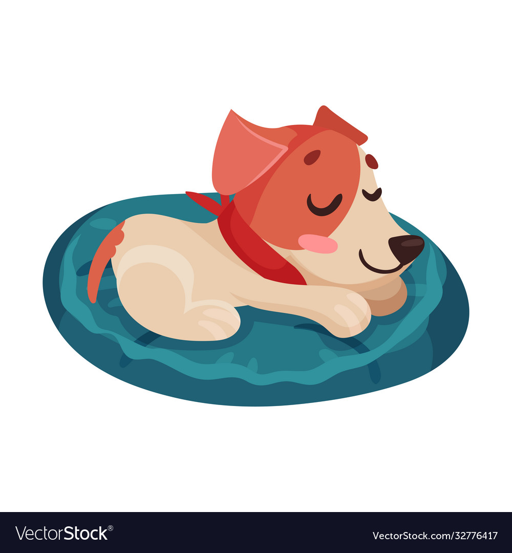 Funny jack russell terrier character sleeping Vector Image