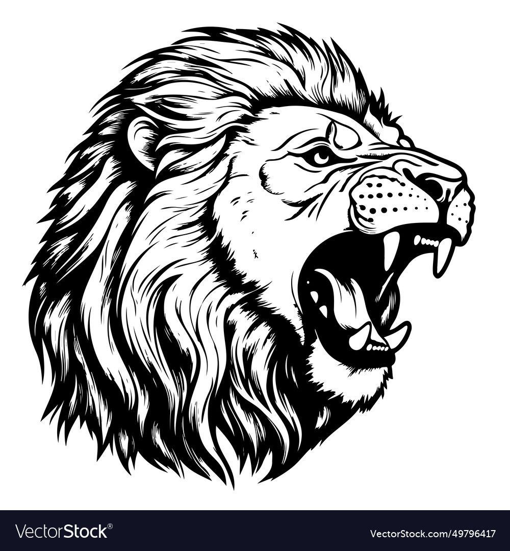 Head of roaring lion hand drawn Royalty Free Vector Image