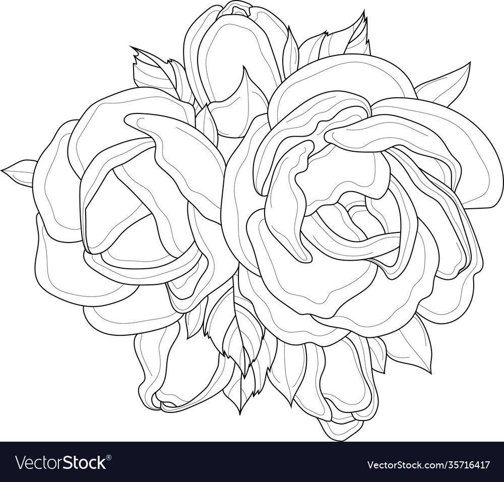 Realistic peony flower bouquet sketch template