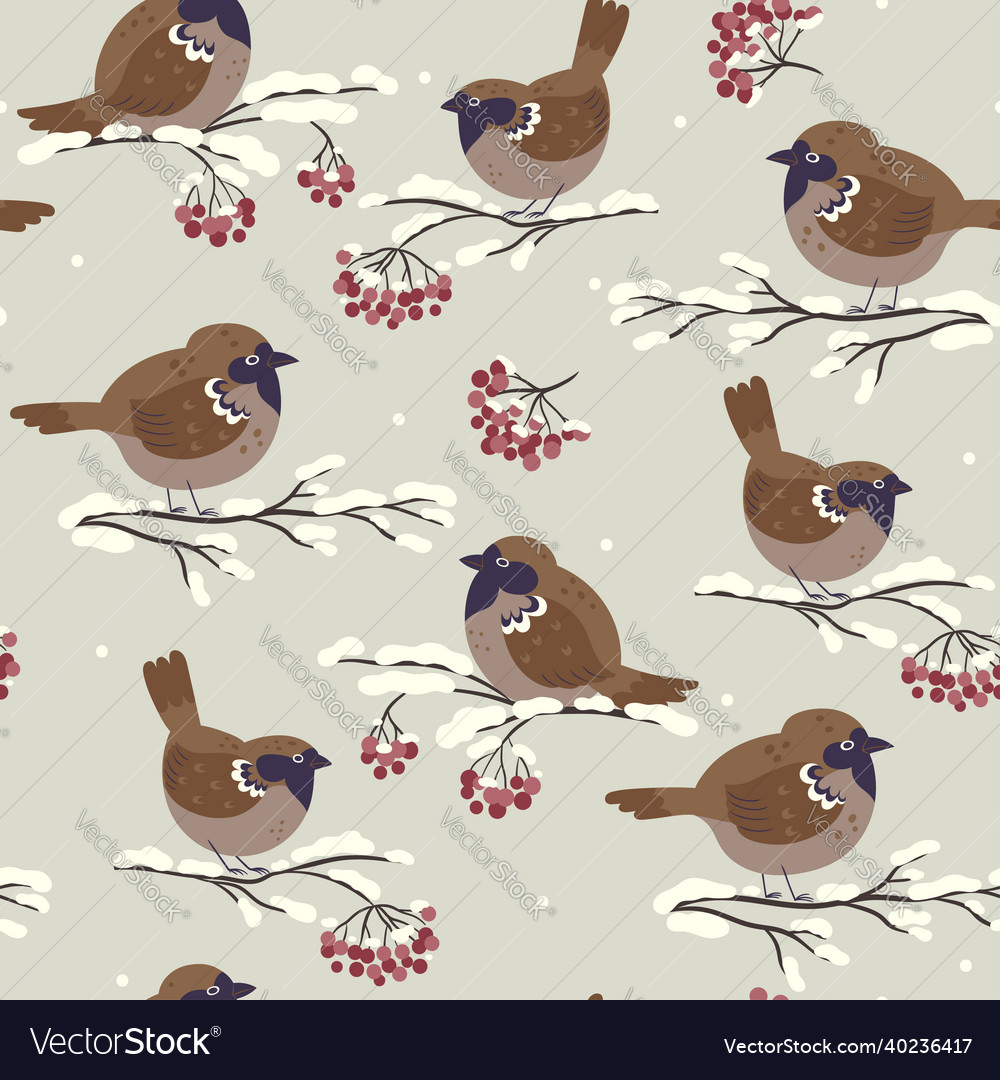 Seamless pattern of cute winter sparrows sitting vector image Seamless pattern of cute winter sparrows sitting