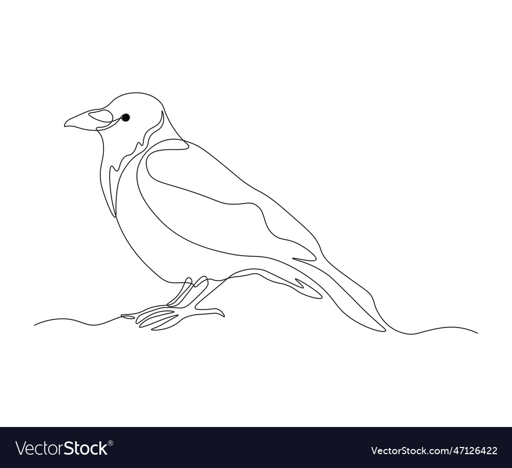Abstract bird raven continuous one line drawing