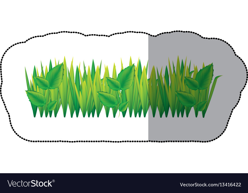 Color grass with leaves icon