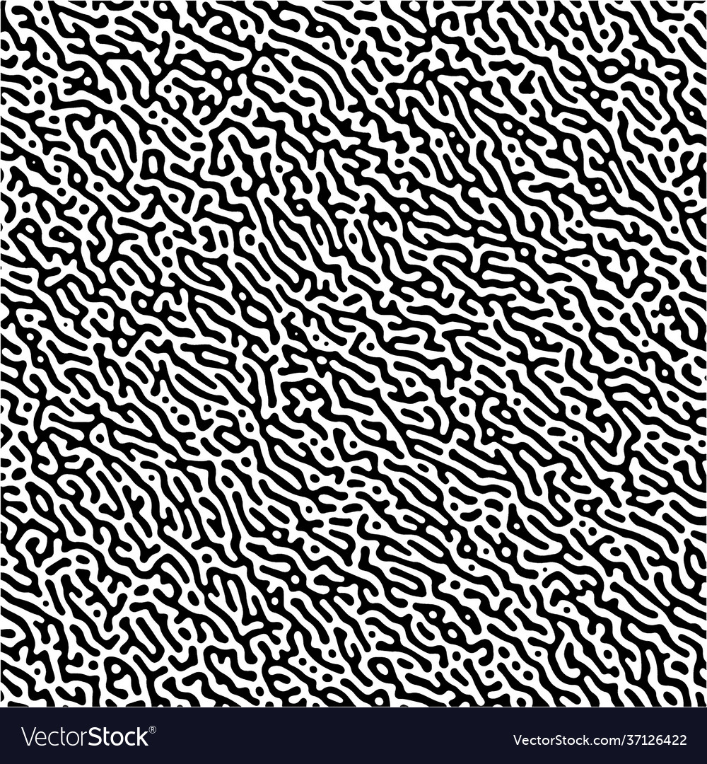 Complex Cellular Pattern