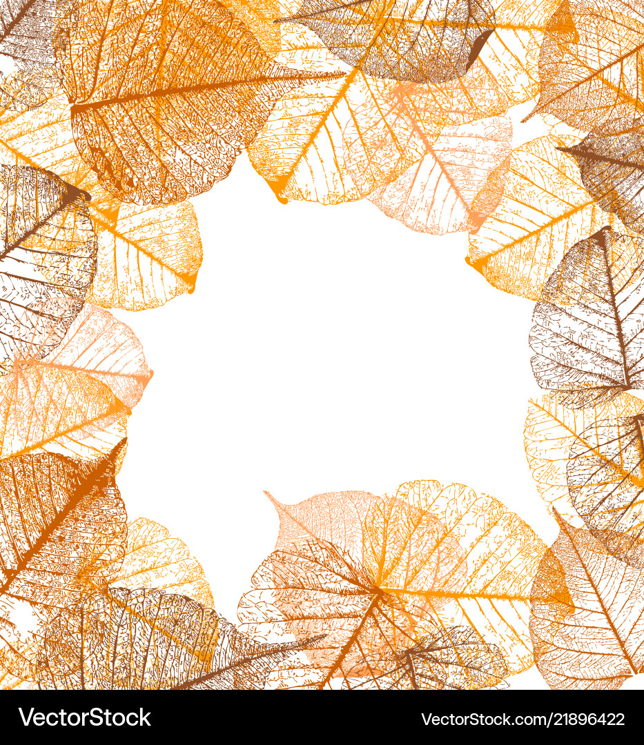 Frame of autumn leaves Royalty Free Vector Image