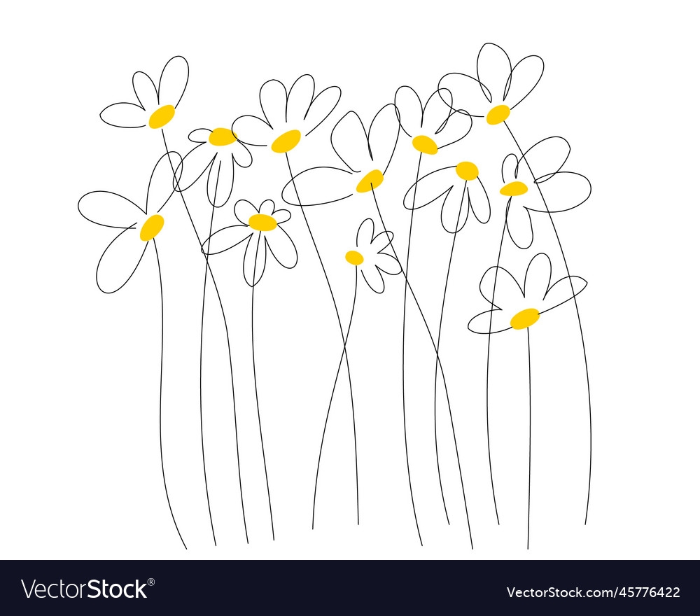 Line abstract flowers chamomile