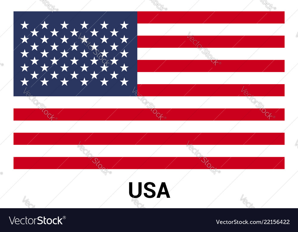 Vintage USA Flag Grunge