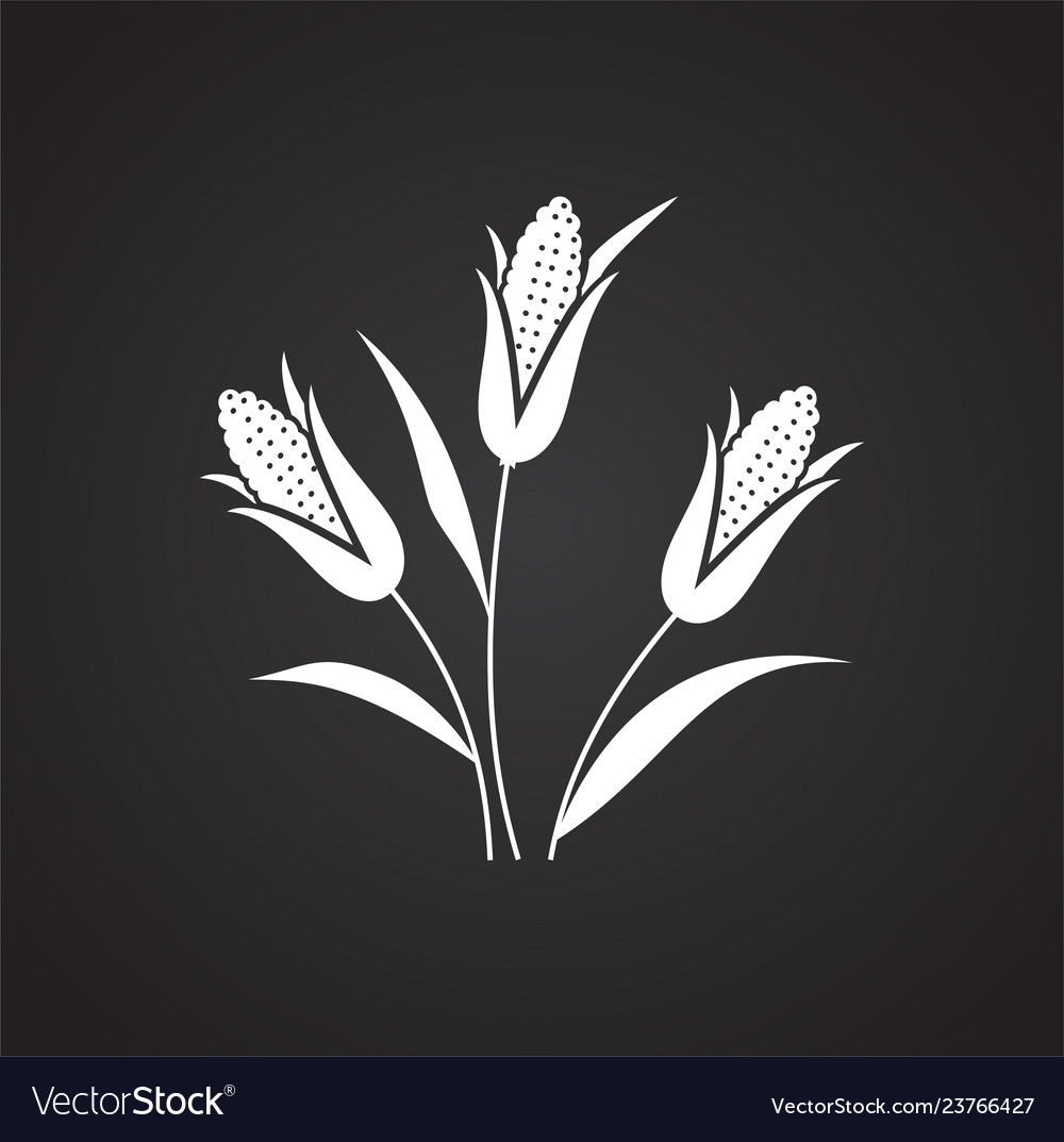 Corn icon on black background for graphic and web