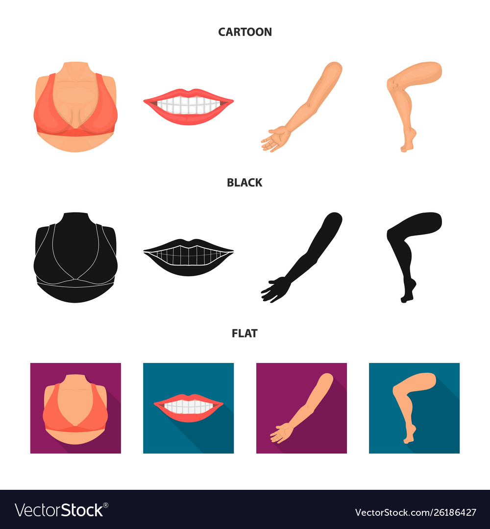 Isolated object body and part logo collection