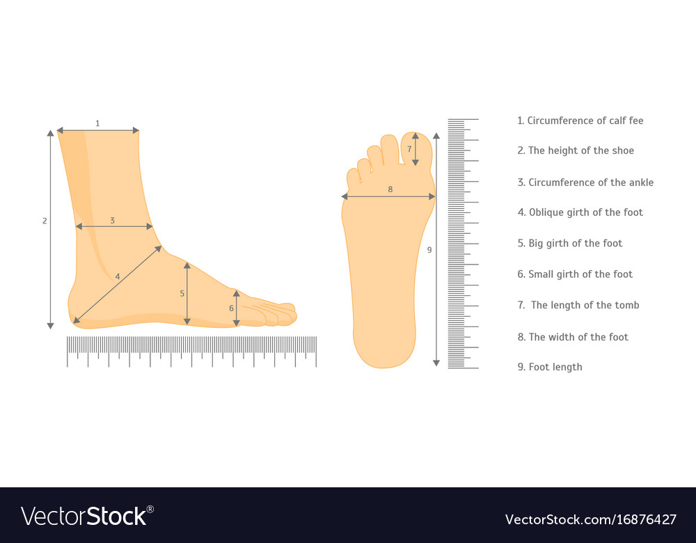 Foot Sizes