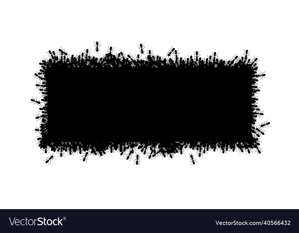 Ants square border forming rectangular shape vector image Ants square border forming rectangular shape