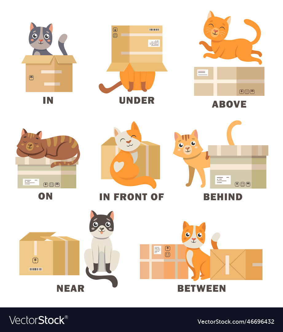 Cat in different poses with box cartoon Royalty Free Vector