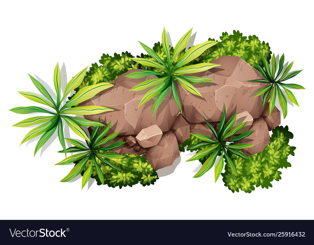 Nature and rock aerial view Royalty Free Vector Image