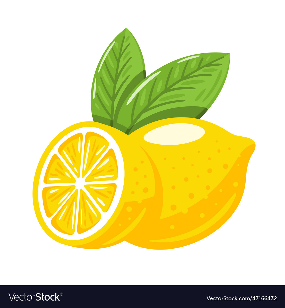 Yellow lemon isolated on white background Vector Image