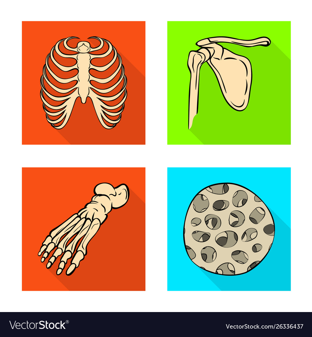Isolated object bone and skeleton logo set Vector Image Isolated object bone and skeleton logo set