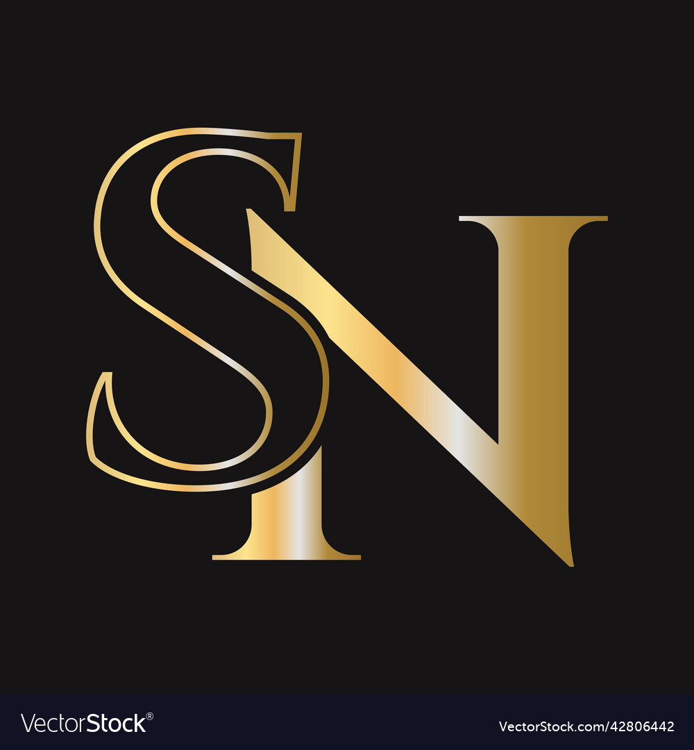 Initial Letter sn ns Logo Design Vorlage vector image Initial Letter sn ns Logo Design Vorlage