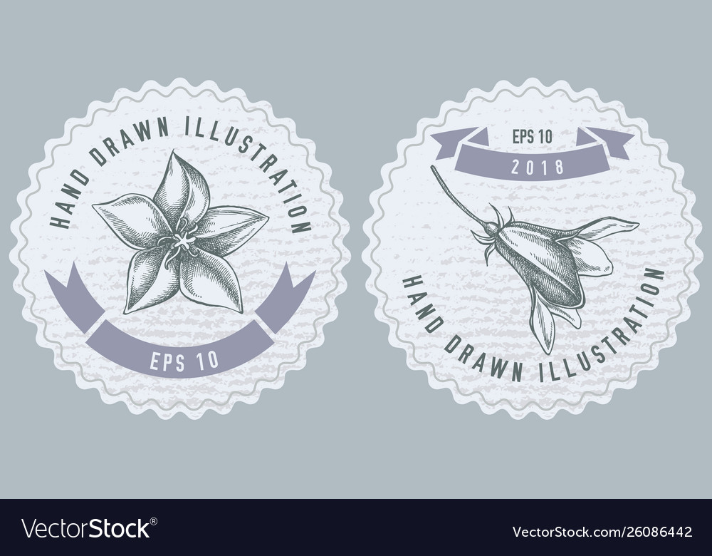 Monochrome labes with bellflower