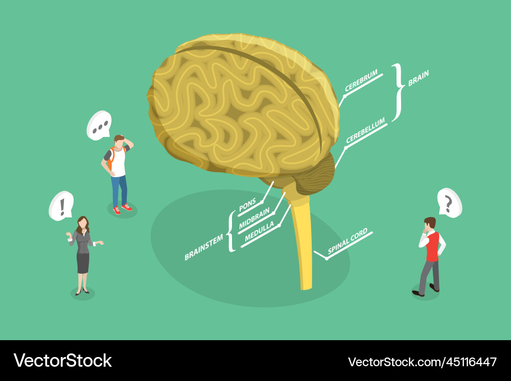 3d isometric flat conceptual Royalty Free Vector Image