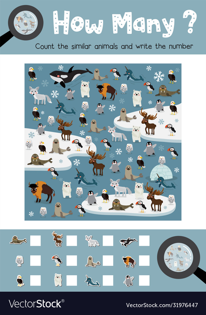 How many arctic animal Royalty Free Vector Image How many arctic animal Royalty Free Vector Image