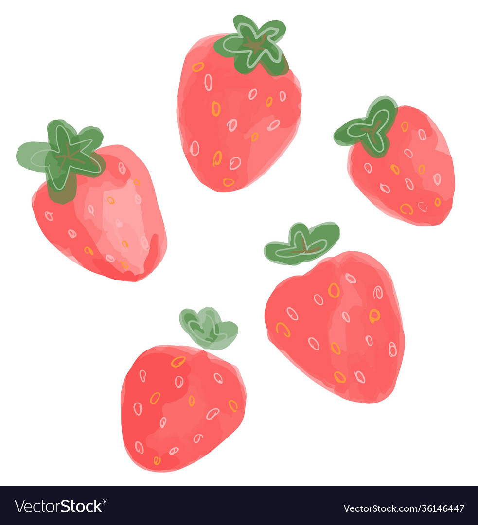 Strawberry on white background Royalty Free Vector Image