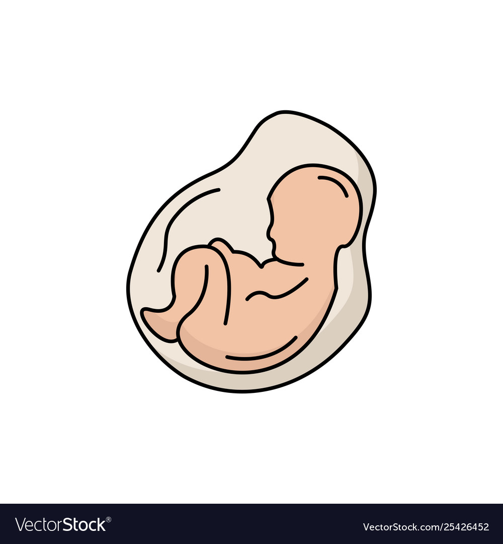 Bapregnancy schwanger Geburtshelfer Fetus flach