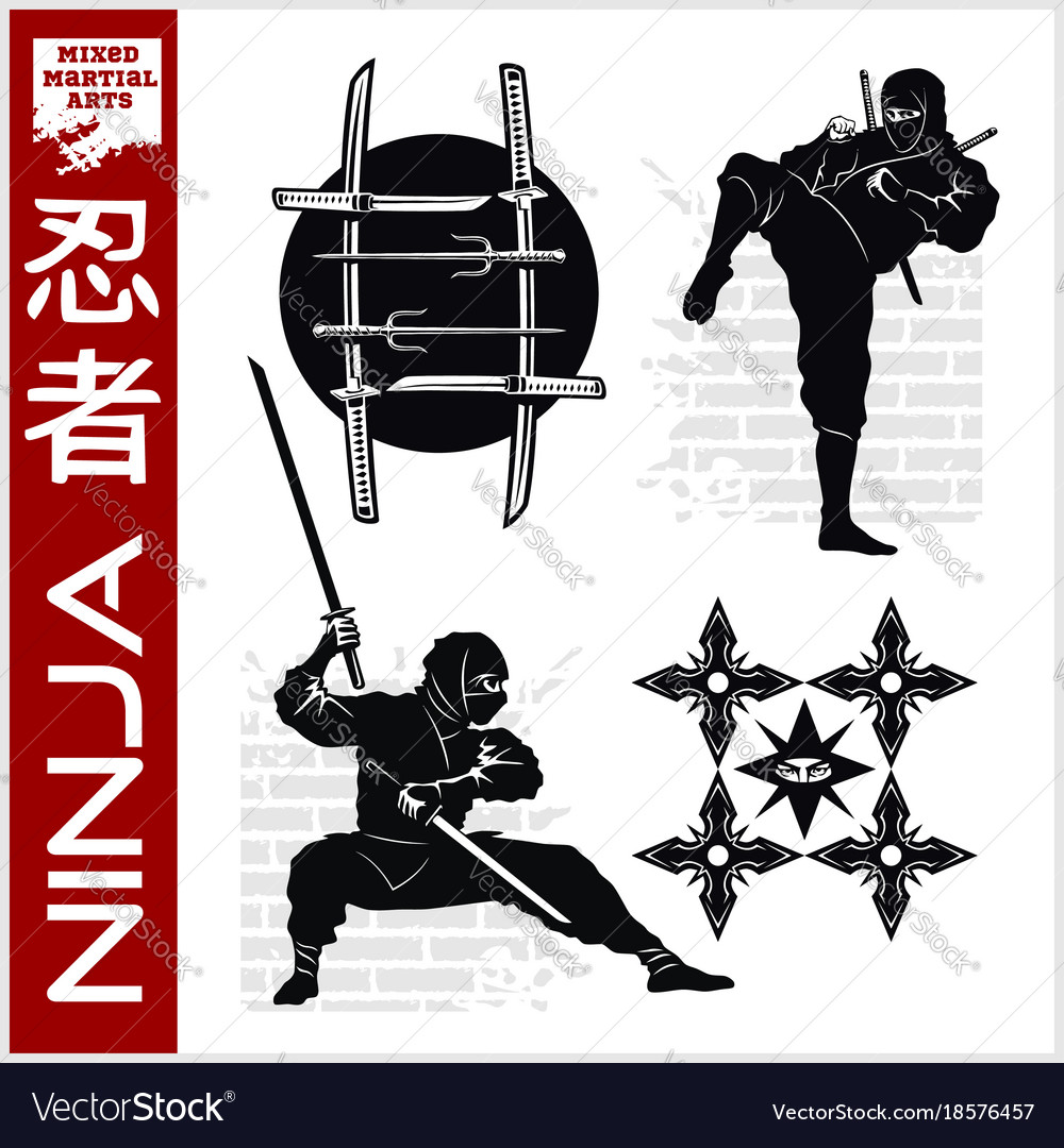 Ninja warrior fighter - mixed martial art Vector Image