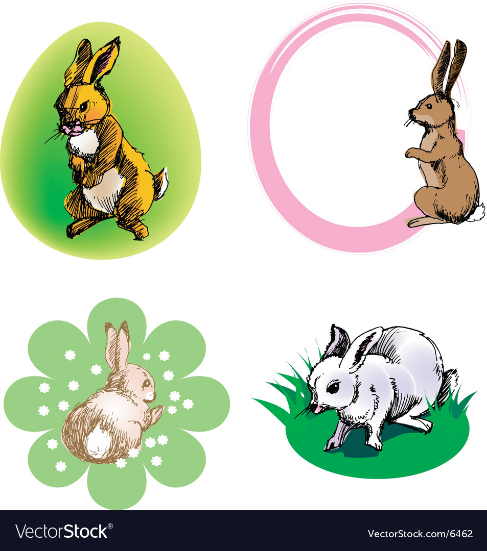 Rabbit border