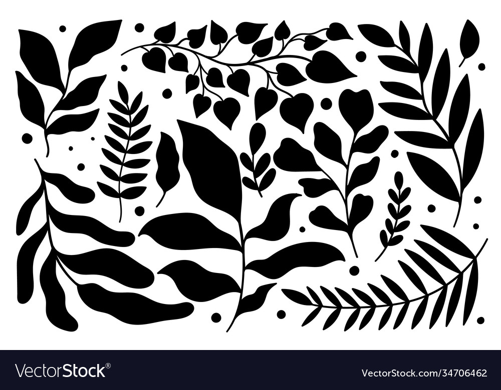 Set plant modern abstract floral nature fancy