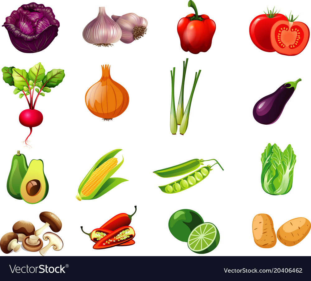 Vegetables set1