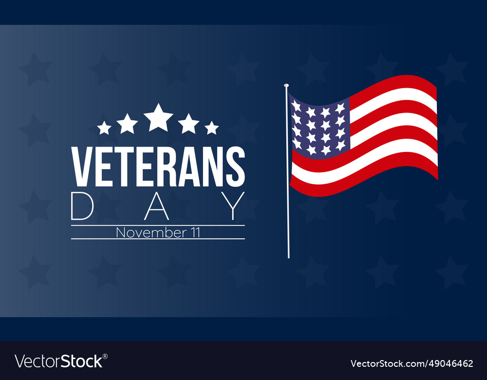 Veterans day tribute with american flag saluting Vector Image