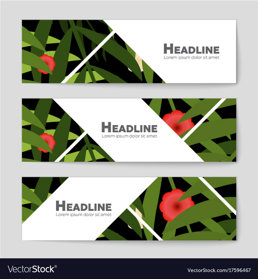 Abstract layout background set for art