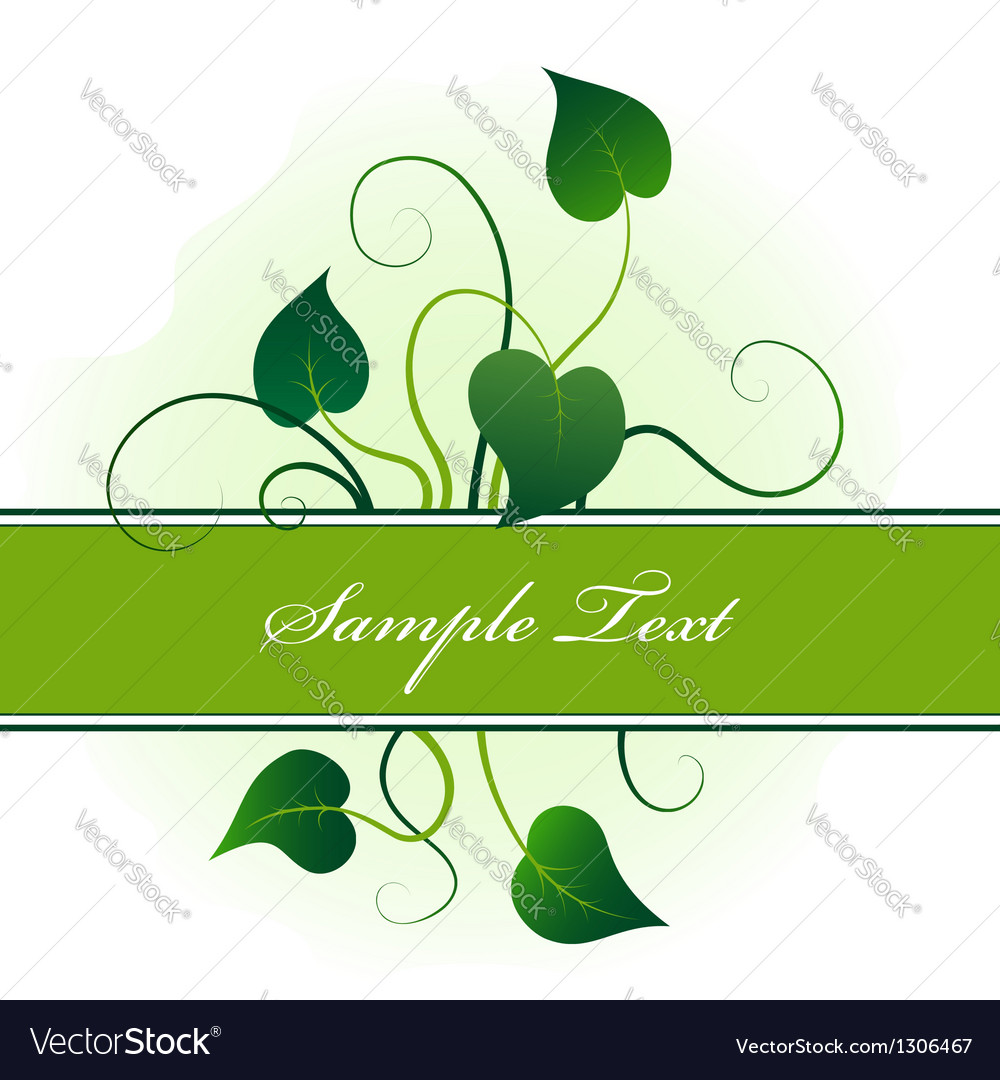 Green ivy leaves Royalty Free Vector Image - VectorStock