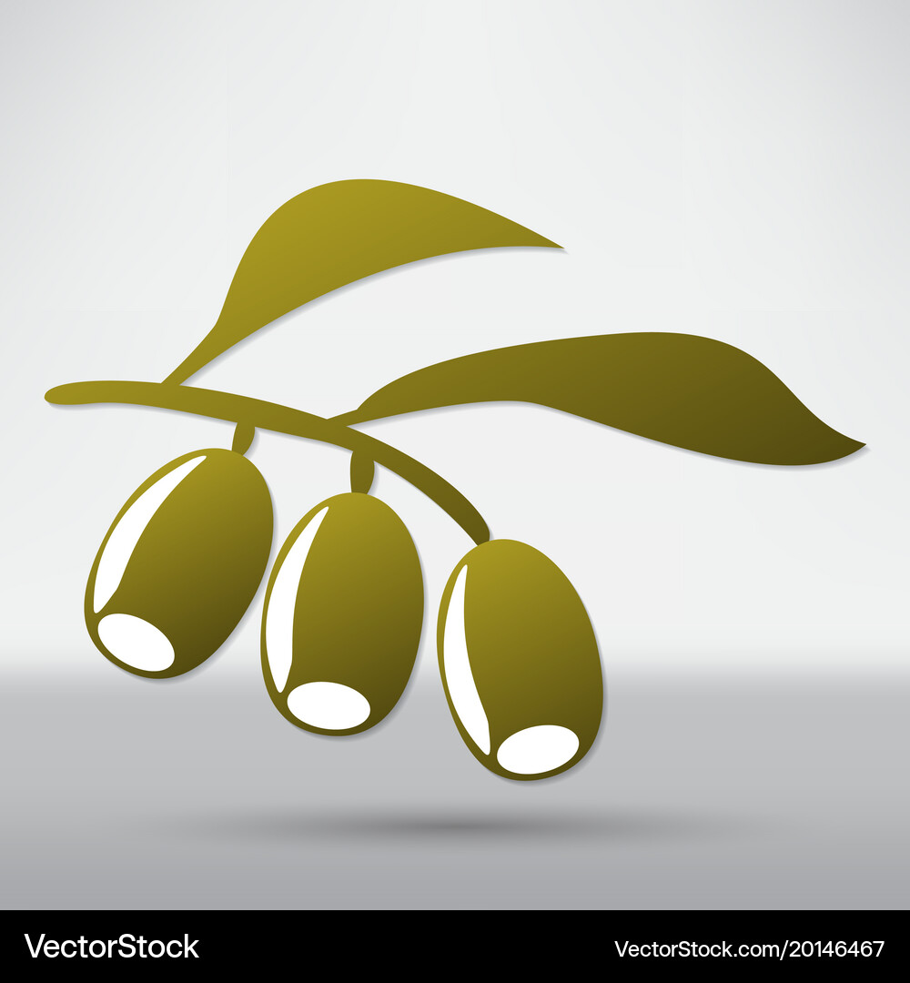 Olive branch Royalty Free Vector Image - VectorStock