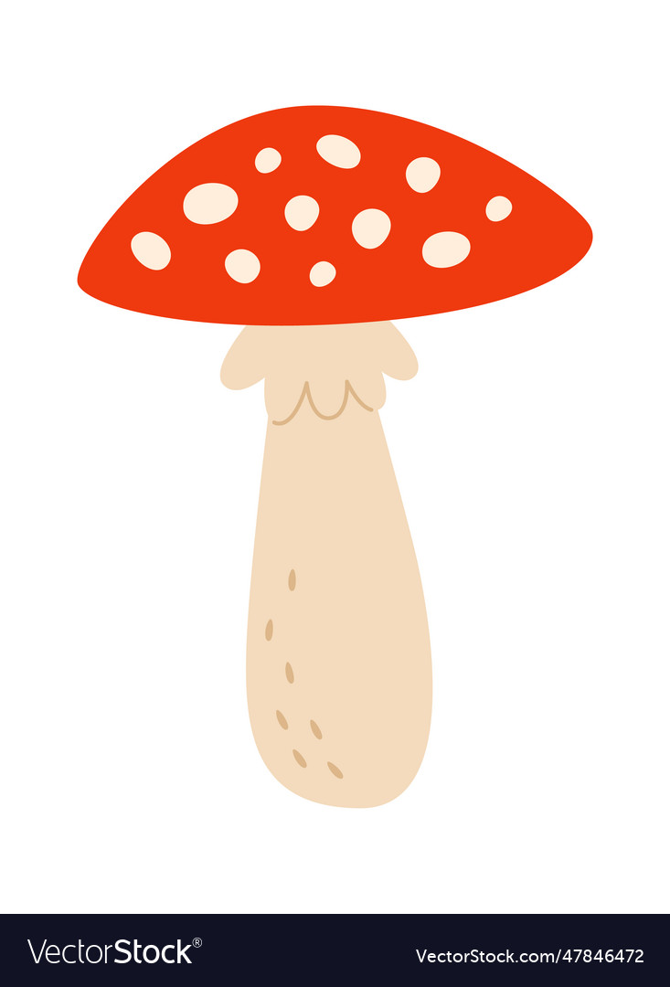 Fly agaric mushroom Royalty Free Vector Image - VectorStock