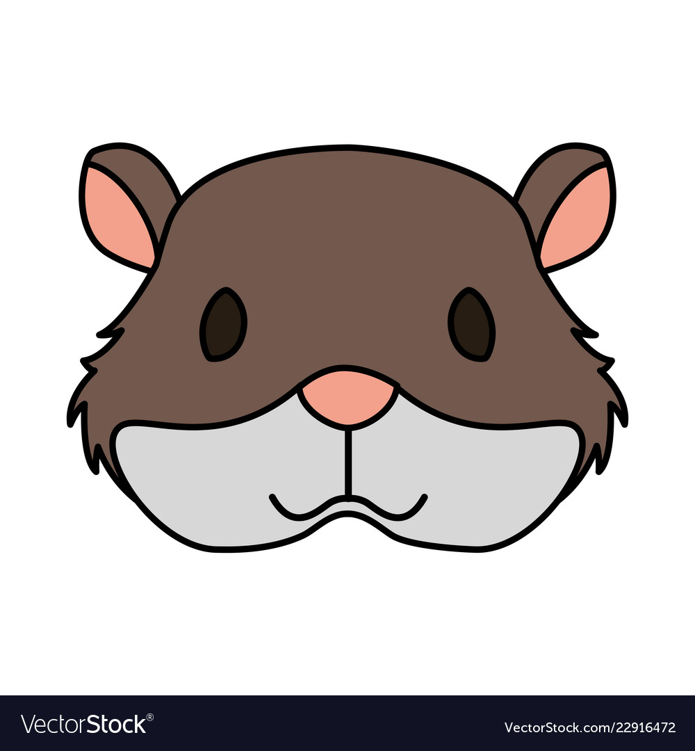 Hamster rodent on white background