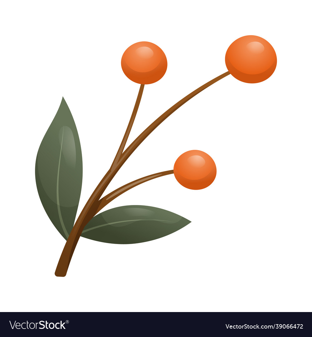Isolated twig with leaves and red autumn rowan vector image Isolated twig with leaves and red autumn rowan