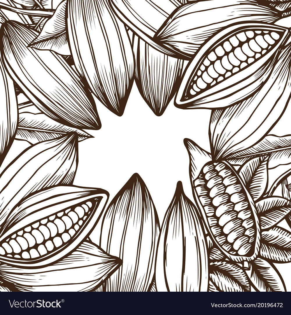 Template with cocoa beans